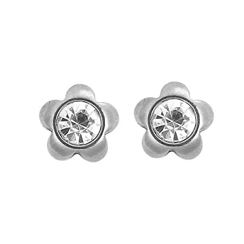 Sexy Sparkles Stainless Steel Ear Post Stud Earrings Silver Tone for Men Women Ear Piercing Earrings