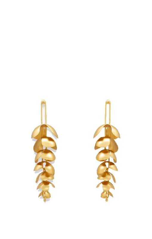 Earrings Obaz